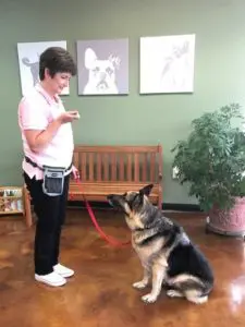 A woman standing next to a dog on a leash.