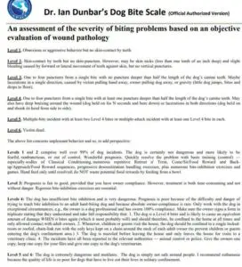 Dog bite severity scale chart.