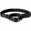 Martingale-Collar-1 Martingale-Collar-1