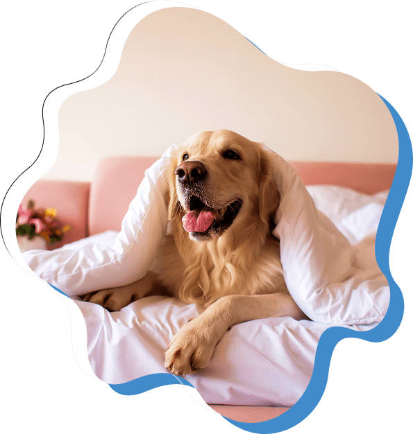 Group 1321317384 (3)