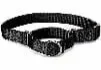 Martingale-Collar-1